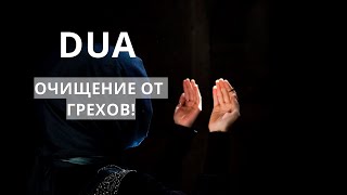 ЧТОБЫ ВАС НЕ ПРЕСЛЕДОВАЛИ ВАШИ ГРЕХИ! ПРОЩЕНИЕ ОТ АЛЛАХА!