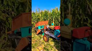 Cutters corn 🌽 harvesting