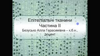 Епітеліальні тканини Частина 2