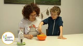 Science at Home: Germs