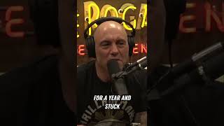 The Impact of COVID 19 on Society #joerogan #joeroganexperience #jre #trending #viral