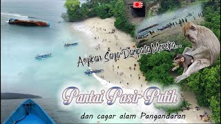 PANTAI PASIR PUTIH DAN CAGAR ALAM PANGANDARAN | WISATA POPULER | WISATA PANGANDARAN