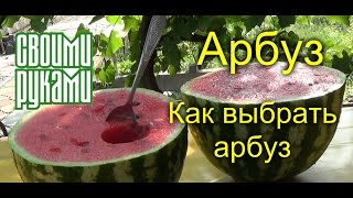 Арбуз. 🌞🌻🌺🐣🐔🐥😅🧡🍗🌸🌸🎂🍎🌼🐠🐟 Как выбрать арбуз🌞🌻🌺🐣🐔🐥😅🧡🍗🌸🌸🎂🍎🌼🐠🐟.