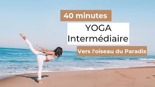 Yoga Vinyasa Intermédiaire Oiseau du paradis en français