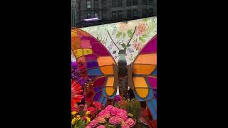 #manhattan #nyc #flowers #macys #show #beautiful