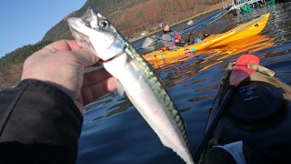 KAYAK TRIP  11/02/2017