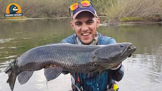 Pescando Tornasoles en final de temporada - Pesca de Tarariras Tornasol - Trairao