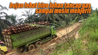 hujan lebat, sopir hino ngamuk tancap gas sampai mesin menjerit