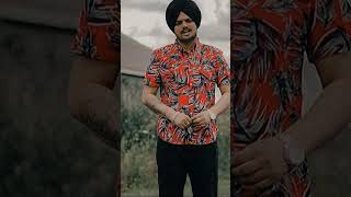 Sidhu moosewala #shorts #viralreels #sidhumoosewalastatus #sidhumoosewalatribute #sidhumoosewala