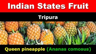 How to learn States Fruit name || List of States Fruit of Indian States || DAG12633 #state #fruits