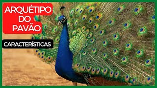 🦚 PAVÃO - [ARQUÉTIPO DO PAVÃO: CARACTERÍSTICAS E CURIOSIDADES]