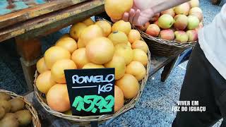 Preço do POMELO TORANJA GRAPEFRUIT | Viver em Foz do Iguaçu