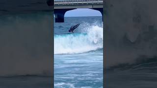 Surfing 🏄‍♀️ #maldives #youtubeshorts #travel #malecity #surf