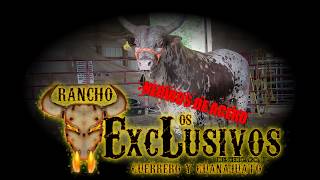 NERVIOS DE ACERO de RANCHO LOS EXCLUSIVOS