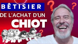 BETISIER de L'ACHAT D'UN CHIOT