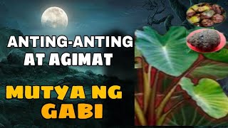 AGIMAT GAMIT ANG MUTYA NG GABI/LIHIM AT KAALAMAN