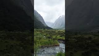 milford road cruise #shorts #milford #newzealand