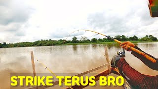 MANCING UDANG GALAH PESTA STRIKE BERTUBI-TUBI