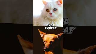 CAT VS DOG #pets