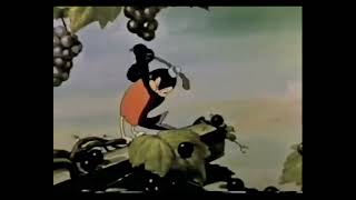 The First Robin (1939) || CAN Cartoon & Animation Network