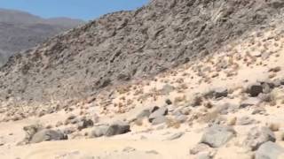 Ocotillo wells Jeep sand hill climb