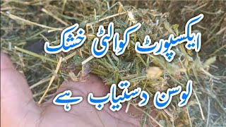 Alfalfa Hay Available in Islamabad// Rawalpindi