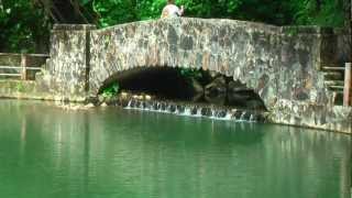 El Yunque RainForest