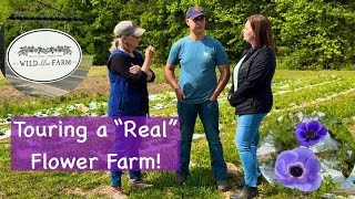 Tour of a Working Flower Farm 🌼➕Good Stuff We Need to Know ‼️