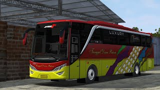 Livery Tunggal Dara Putera Jetbus 2 Mercy By asXfm