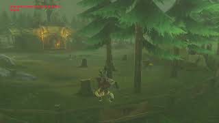 If Lonk wins the Hyrule Olympics