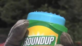 Using Roundup Gel to Get Rid of Nettles and Cleavers | Videos | Roundup Weedkiller