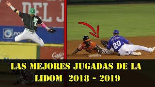 Las mejores jugadas de la LIDOM en el 2018 - 2019