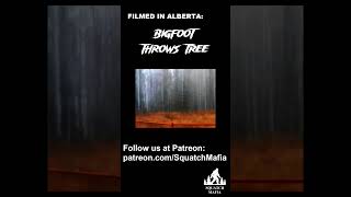 Bigfoot throws Tree in Alberta