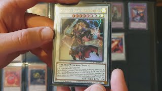 YuGiOh ASMR Rise of the Duelist Binder Update | YuGiCurt