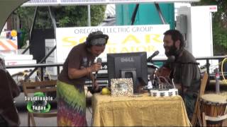 2012 Midsummers Green Neighborhoods Festival Highlights