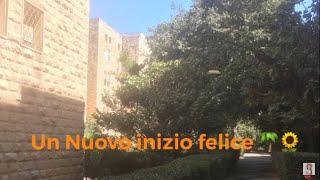 Sukkot 🌴 La festa delle capanne: un nuovo inizio felice