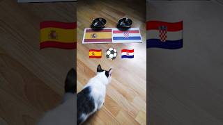 Spain vs. Croatia Cat Oracle predicts match result. UEFA Euro 2024