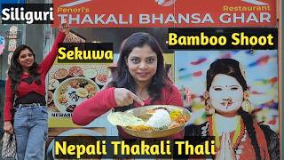 Nepali Thakali Thali khana Set | Sekuwa BBQ | Siliguri Hotel | Budget Vlog | Darjeeling Tour Guide