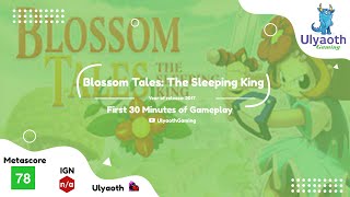 Blossom Tales: The Sleeping King (2017) - PC Gameplay