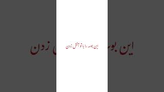 اینگونه شاهین نجفی _ ingoone shahin najafi