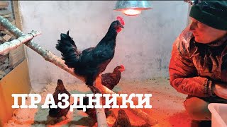 #139. Новогодние праздники в деревне. [Жизнь на своей земле]