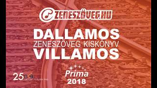 Dallamos Villamos 2018 hangulatvideo #1