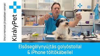 ❤️ 🩹Elsősegélynyújtás🖍Golyóstollal & iPhone töltőkábellel💙