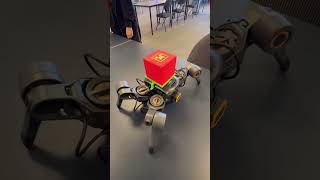 UGOT Spider Robot - 3D Printed Carrier for Delivery!!