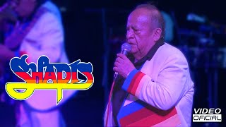 Los Shapis - Ladrón de Amor - Fruto de Amor - Concierto en Vivo 2023