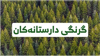 About forest :: دەربارەی دارستانەکان