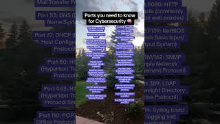 Cybersecurity Ports #cybersecurity #cybersecuritytraining #cybersecuritycertification