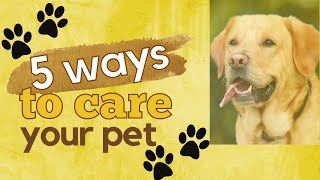 How to care your your pet