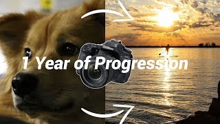 1 Year of Progression in Photography