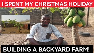 How I Spent Christmas Holiday Building A Backyard Farm